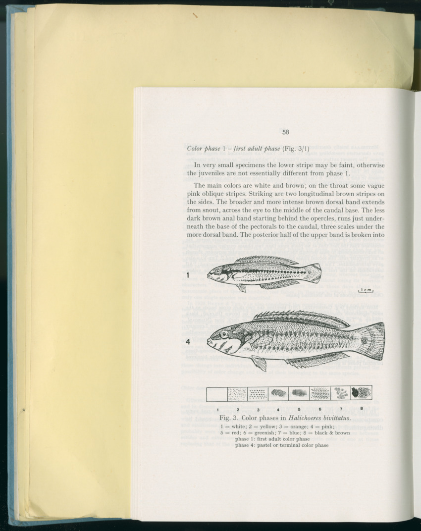 Carmabi Collected Papers Volume 8 - Nos. 110-125, 1972-1973 - New Page