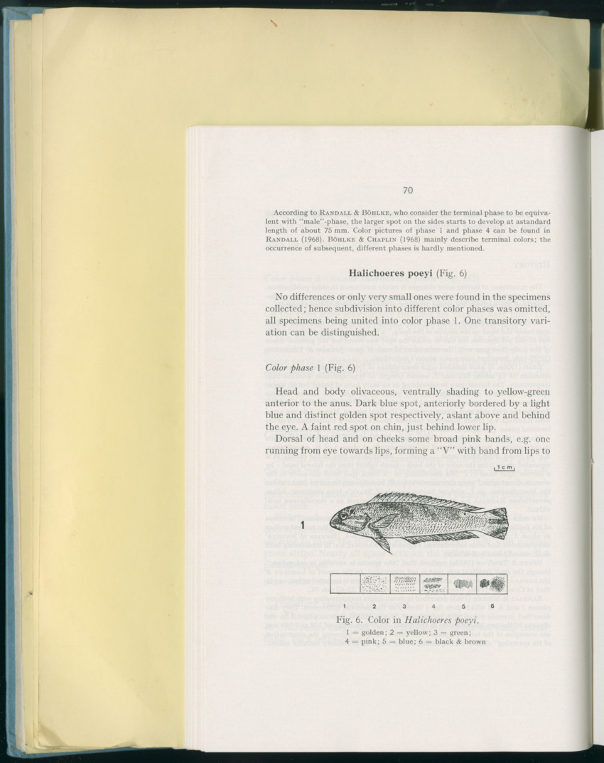Carmabi Collected Papers Volume 8 - Nos. 110-125, 1972-1973 - New Page