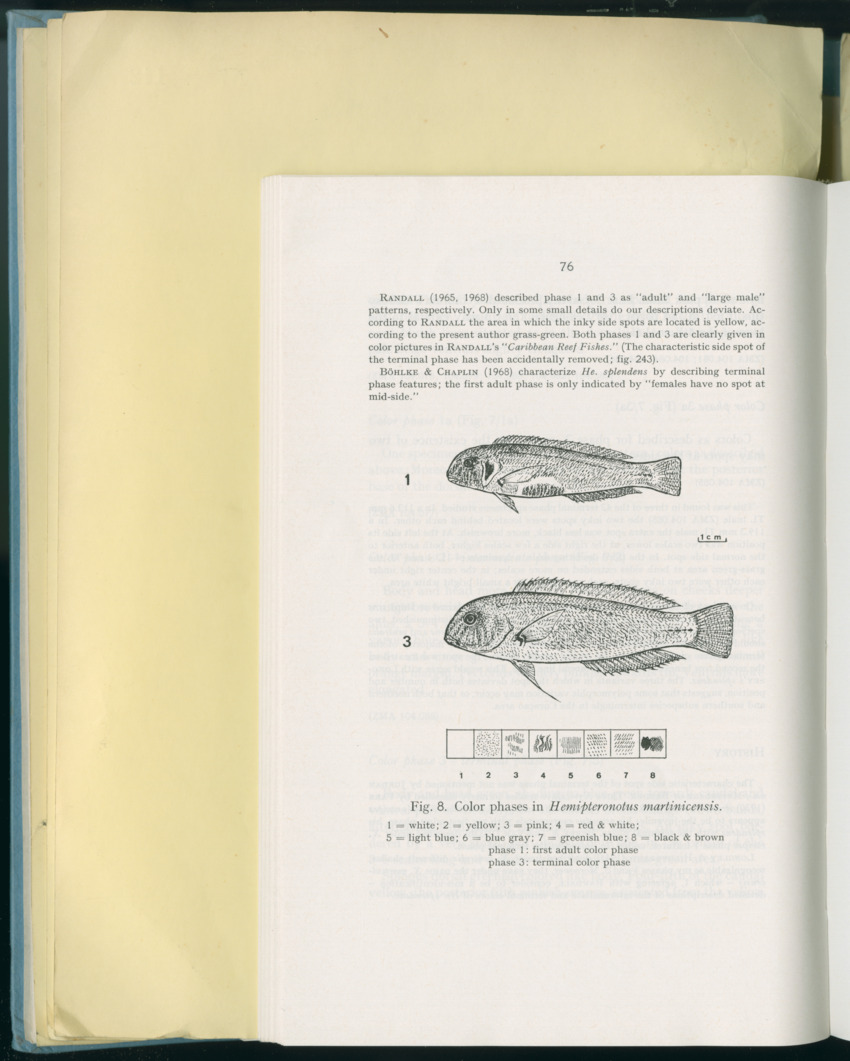Carmabi Collected Papers Volume 8 - Nos. 110-125, 1972-1973 - New Page