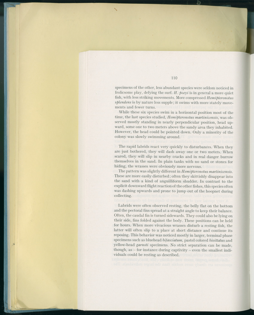 Carmabi Collected Papers Volume 8 - Nos. 110-125, 1972-1973 - New Page