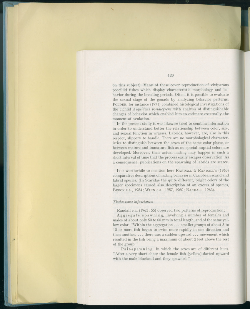 Carmabi Collected Papers Volume 8 - Nos. 110-125, 1972-1973 - New Page