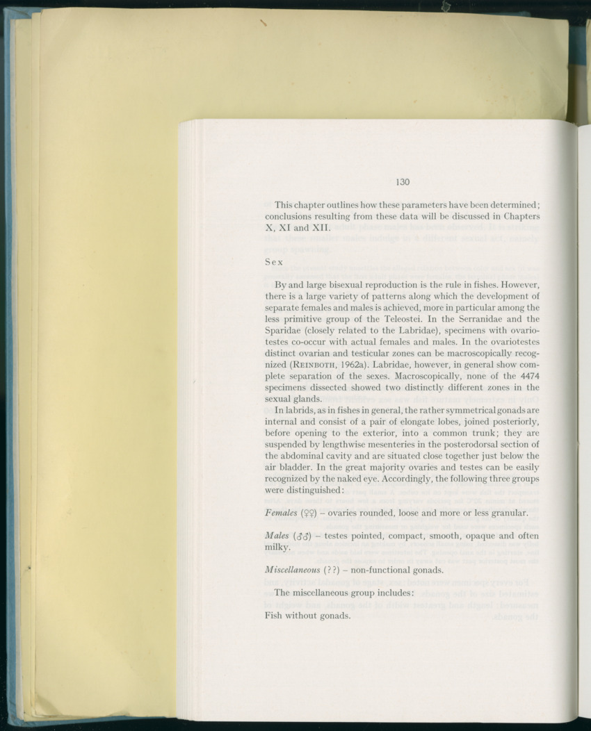 Carmabi Collected Papers Volume 8 - Nos. 110-125, 1972-1973 - New Page