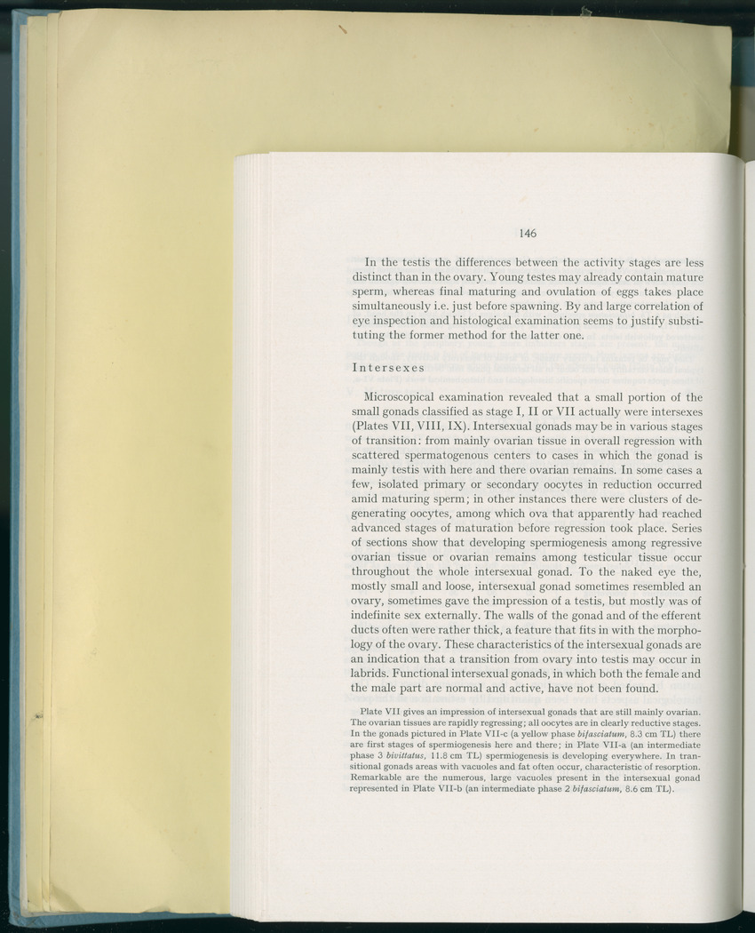 Carmabi Collected Papers Volume 8 - Nos. 110-125, 1972-1973 - New Page