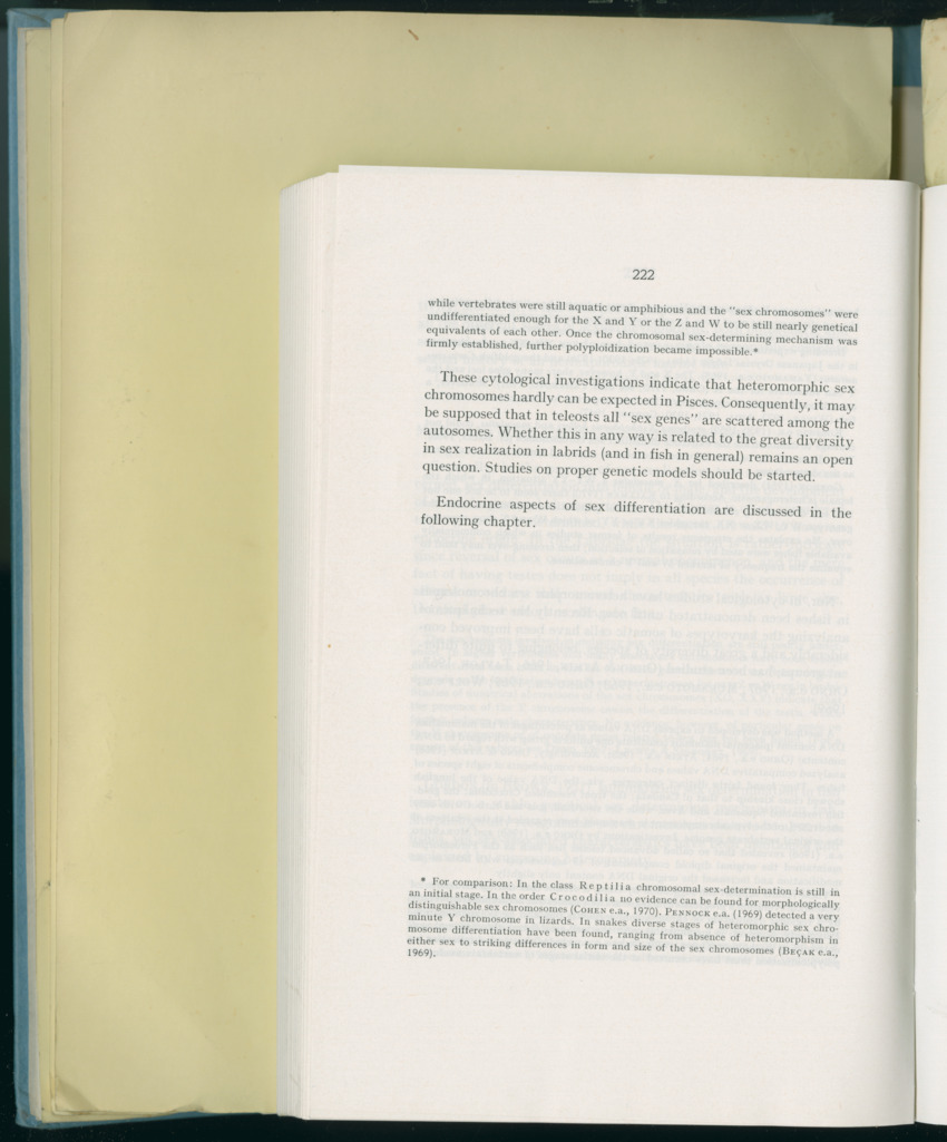 Carmabi Collected Papers Volume 8 - Nos. 110-125, 1972-1973 - New Page