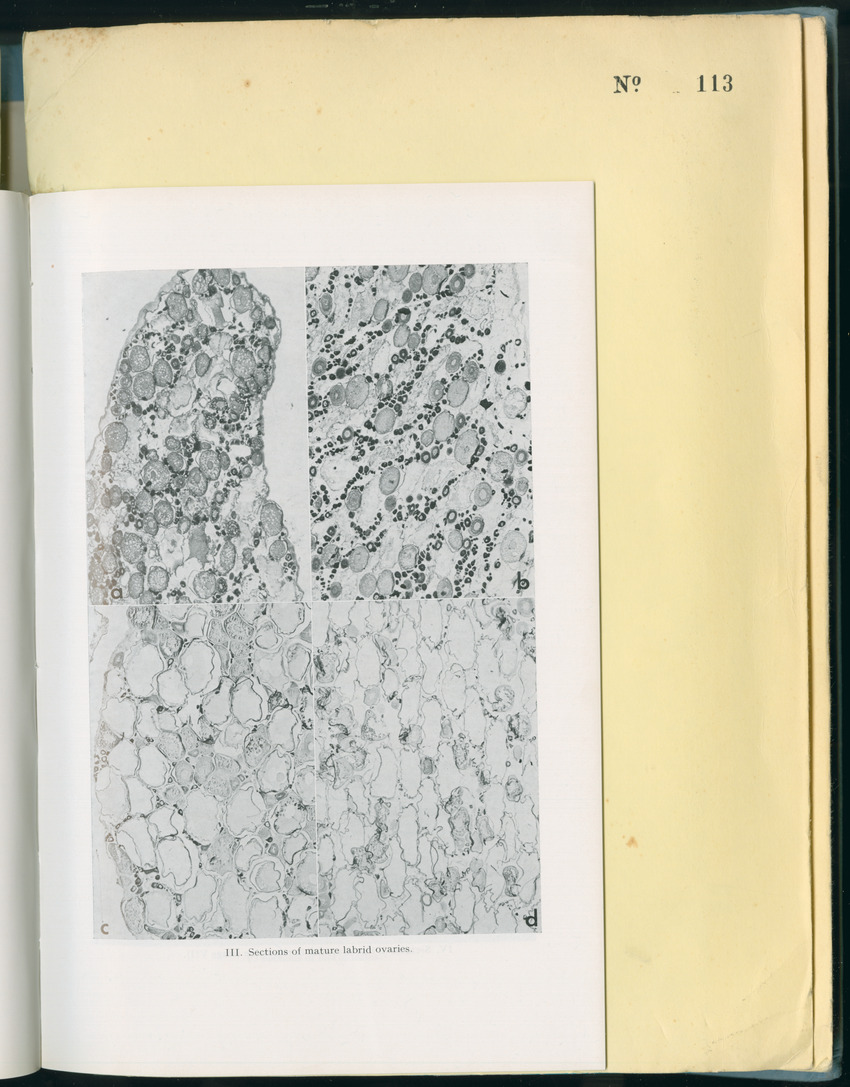 Carmabi Collected Papers Volume 8 - Nos. 110-125, 1972-1973 - New Page