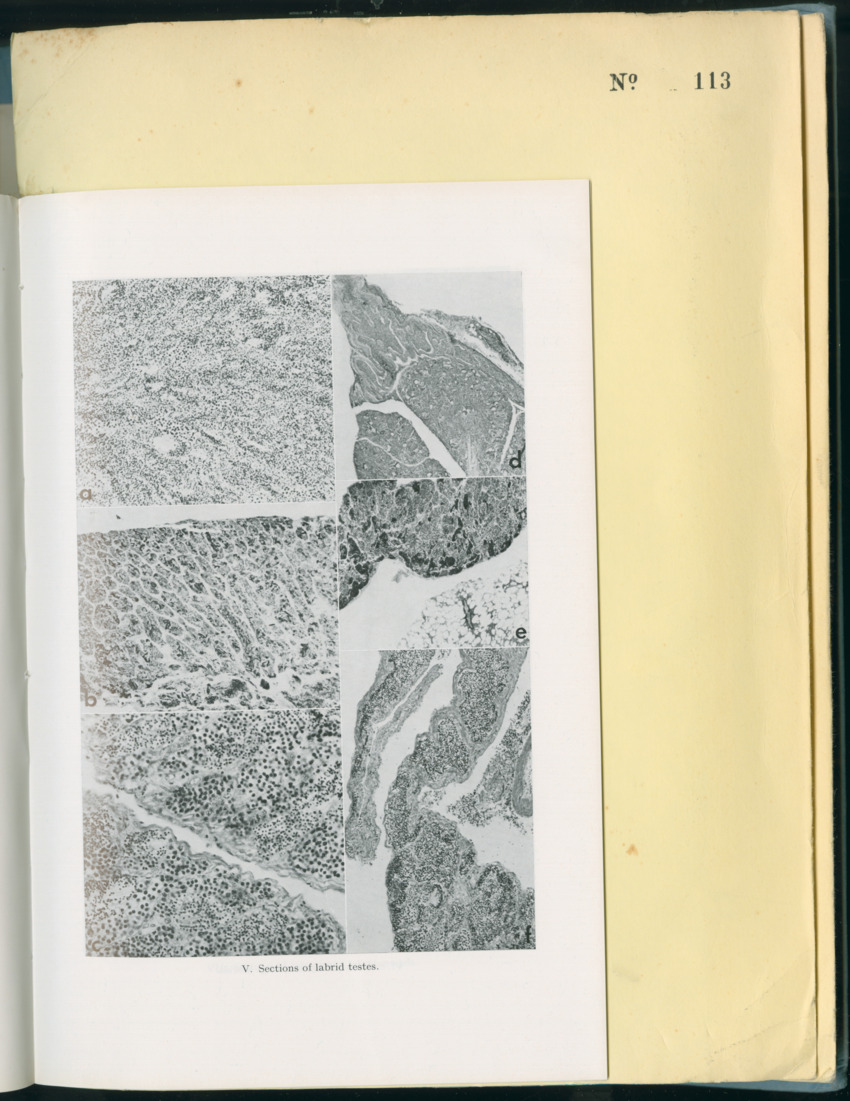 Carmabi Collected Papers Volume 8 - Nos. 110-125, 1972-1973 - New Page
