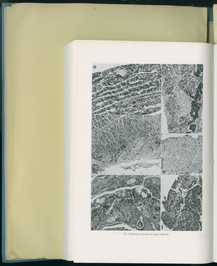 Carmabi Collected Papers Volume 8 - Nos. 110-125, 1972-1973 - New Page