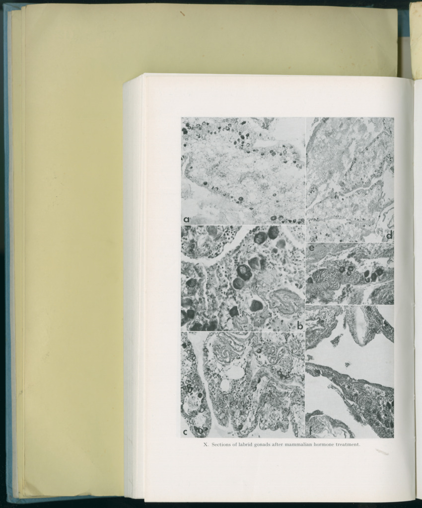 Carmabi Collected Papers Volume 8 - Nos. 110-125, 1972-1973 - New Page