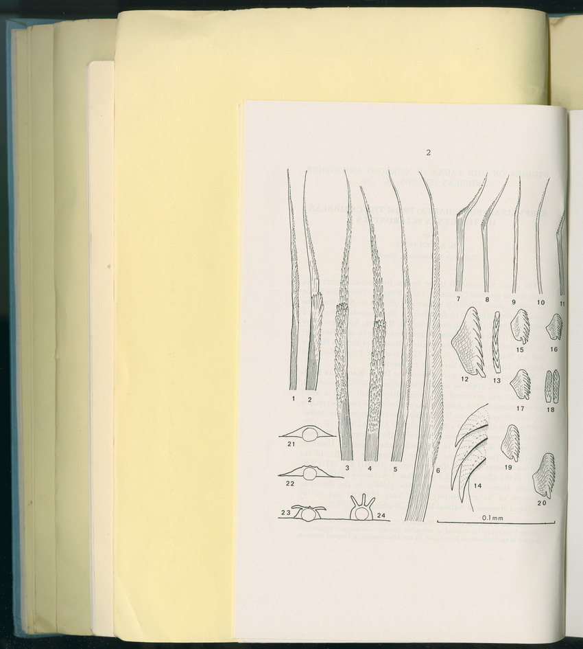 Carmabi Collected Papers Volume 8 - Nos. 110-125, 1972-1973 - New Page