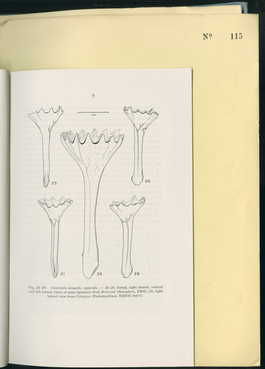 Carmabi Collected Papers Volume 8 - Nos. 110-125, 1972-1973 - New Page