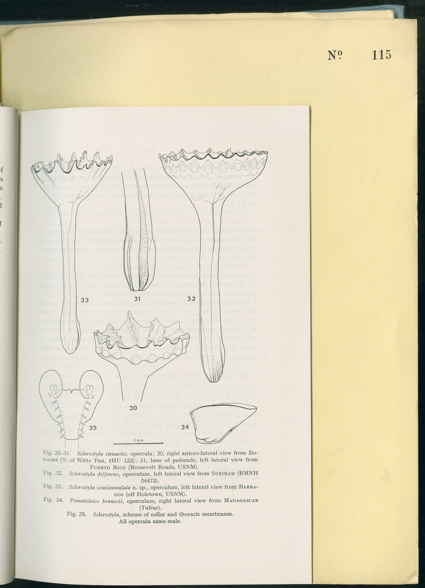 Carmabi Collected Papers Volume 8 - Nos. 110-125, 1972-1973 - New Page