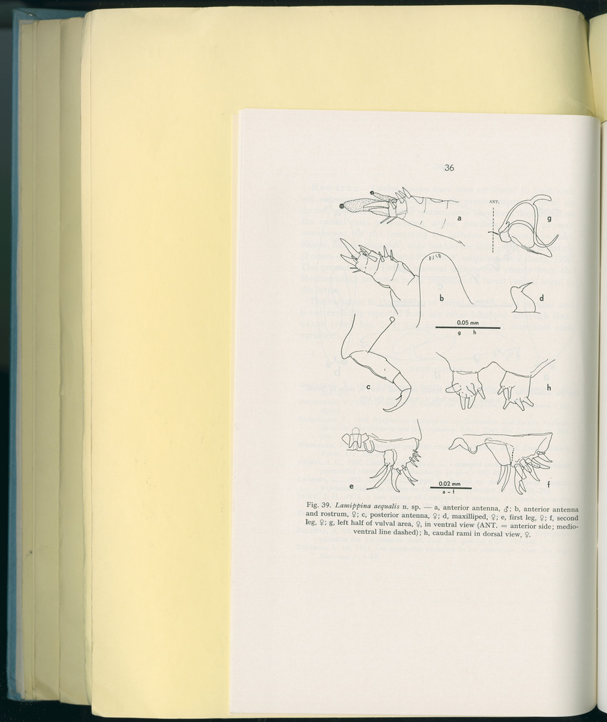 Carmabi Collected Papers Volume 8 - Nos. 110-125, 1972-1973 - New Page