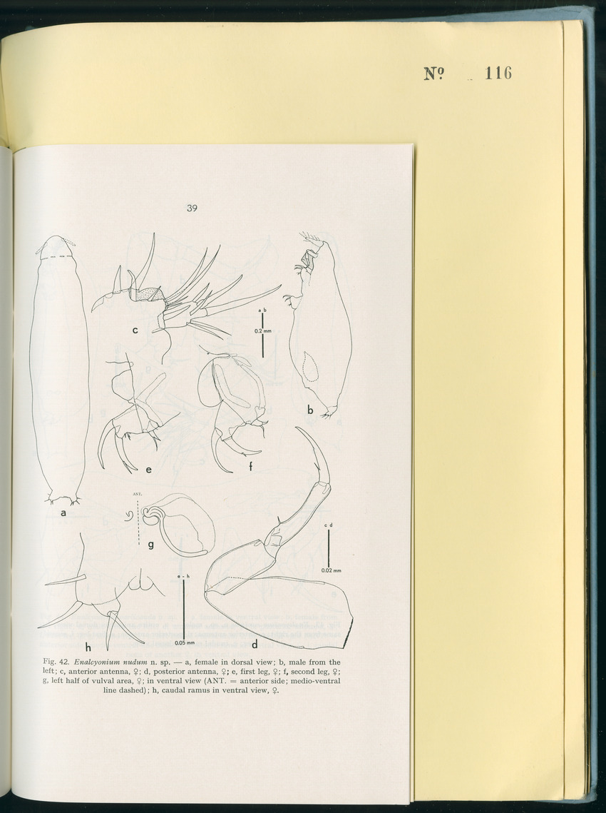 Carmabi Collected Papers Volume 8 - Nos. 110-125, 1972-1973 - New Page