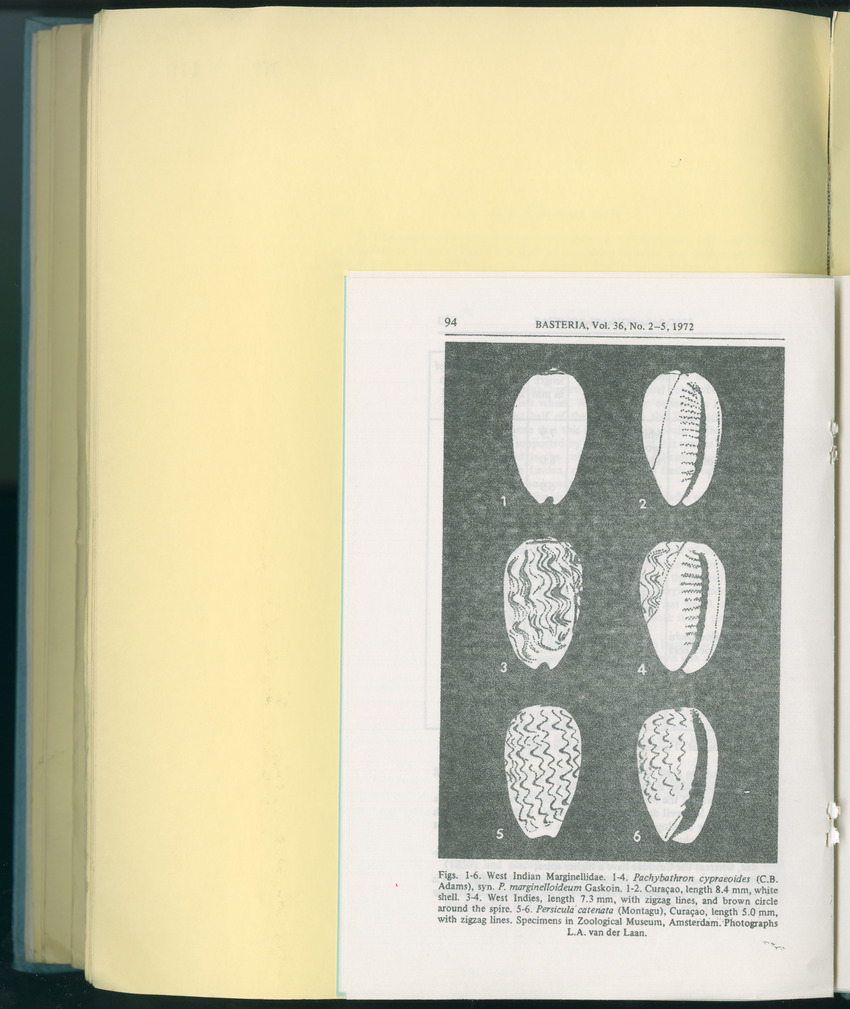 Carmabi Collected Papers Volume 8 - Nos. 110-125, 1972-1973 - New Page