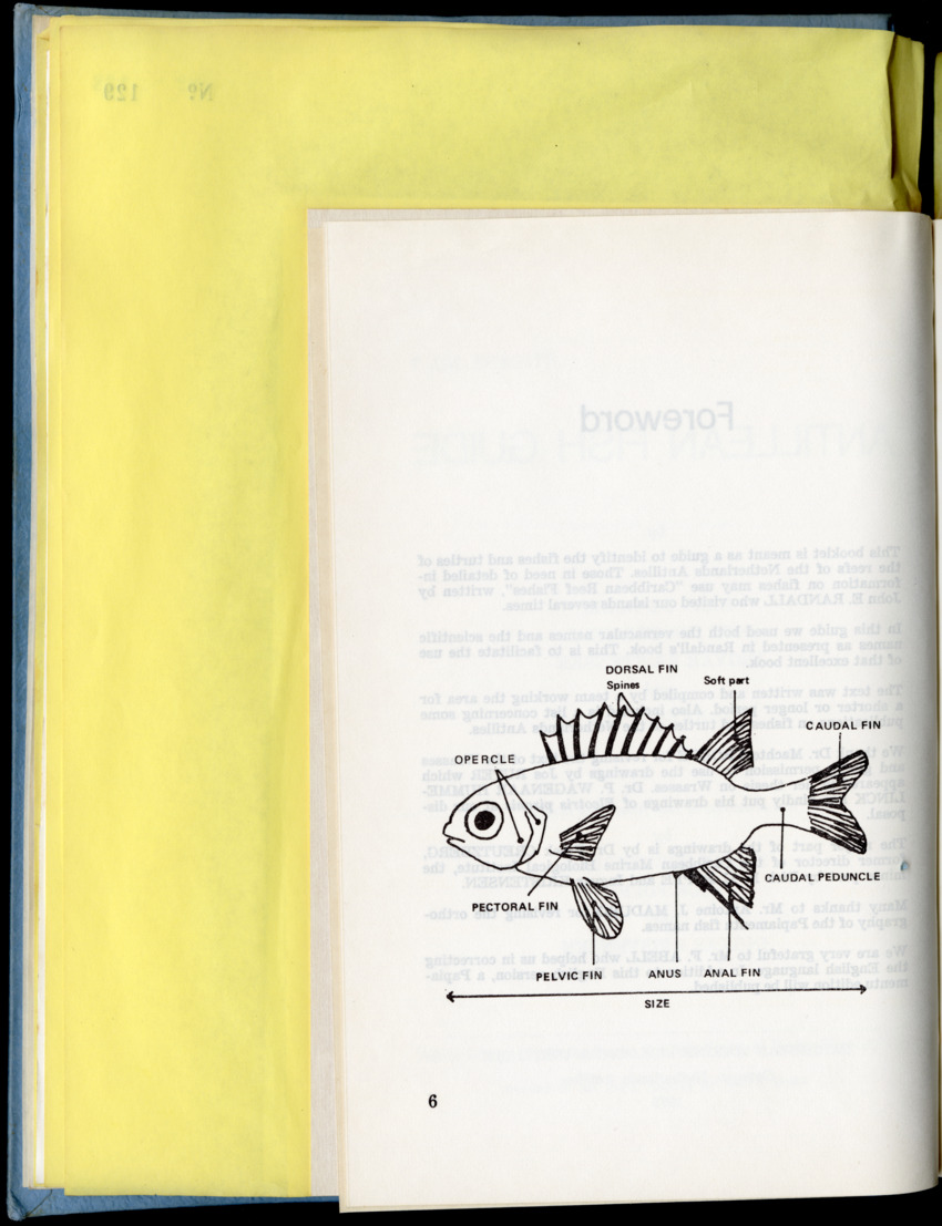 Carmabi Collected Papers Volume 9 - Nos. 126-140, 1972-1974 - New Page