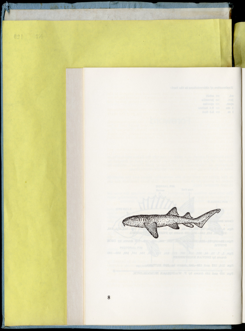 Carmabi Collected Papers Volume 9 - Nos. 126-140, 1972-1974 - New Page