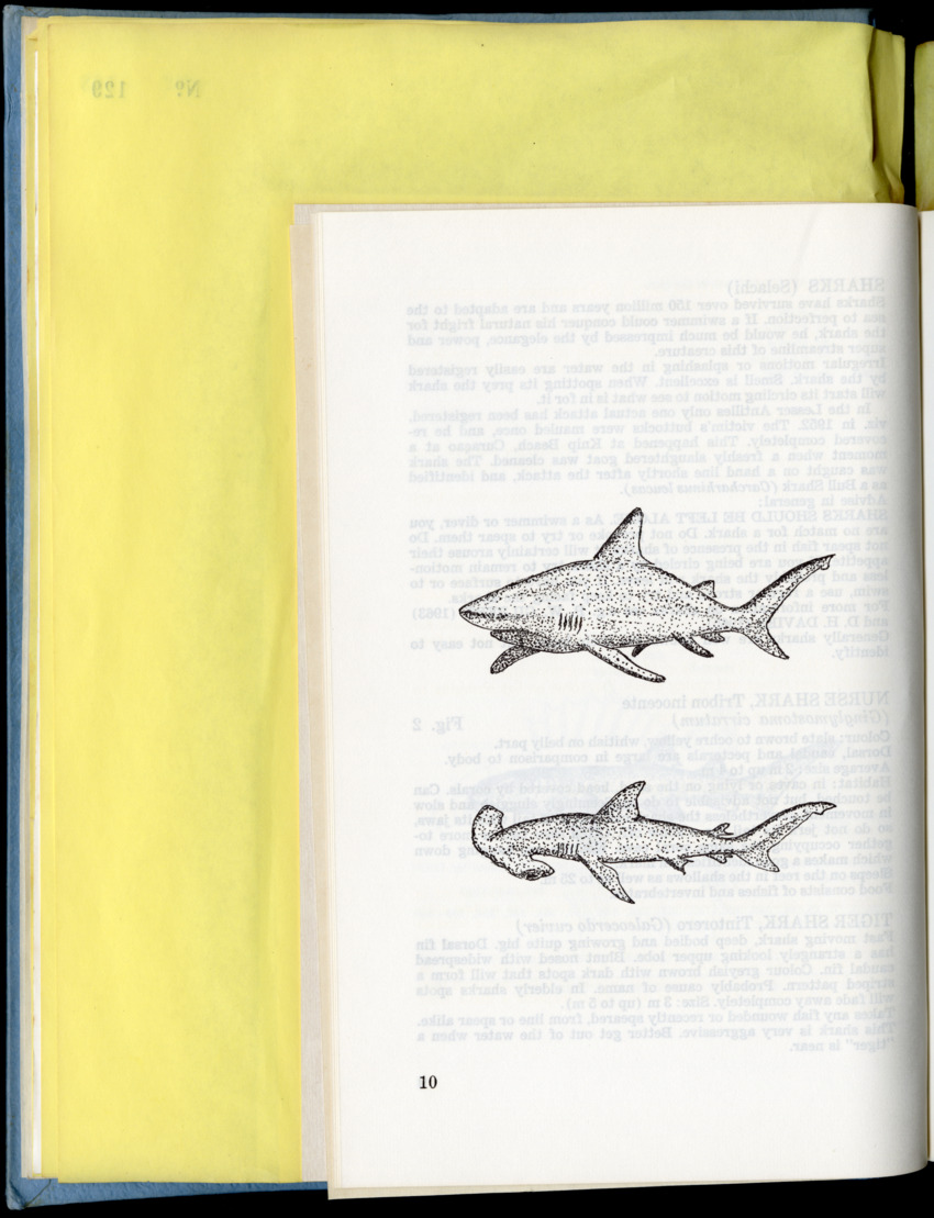 Carmabi Collected Papers Volume 9 - Nos. 126-140, 1972-1974 - New Page