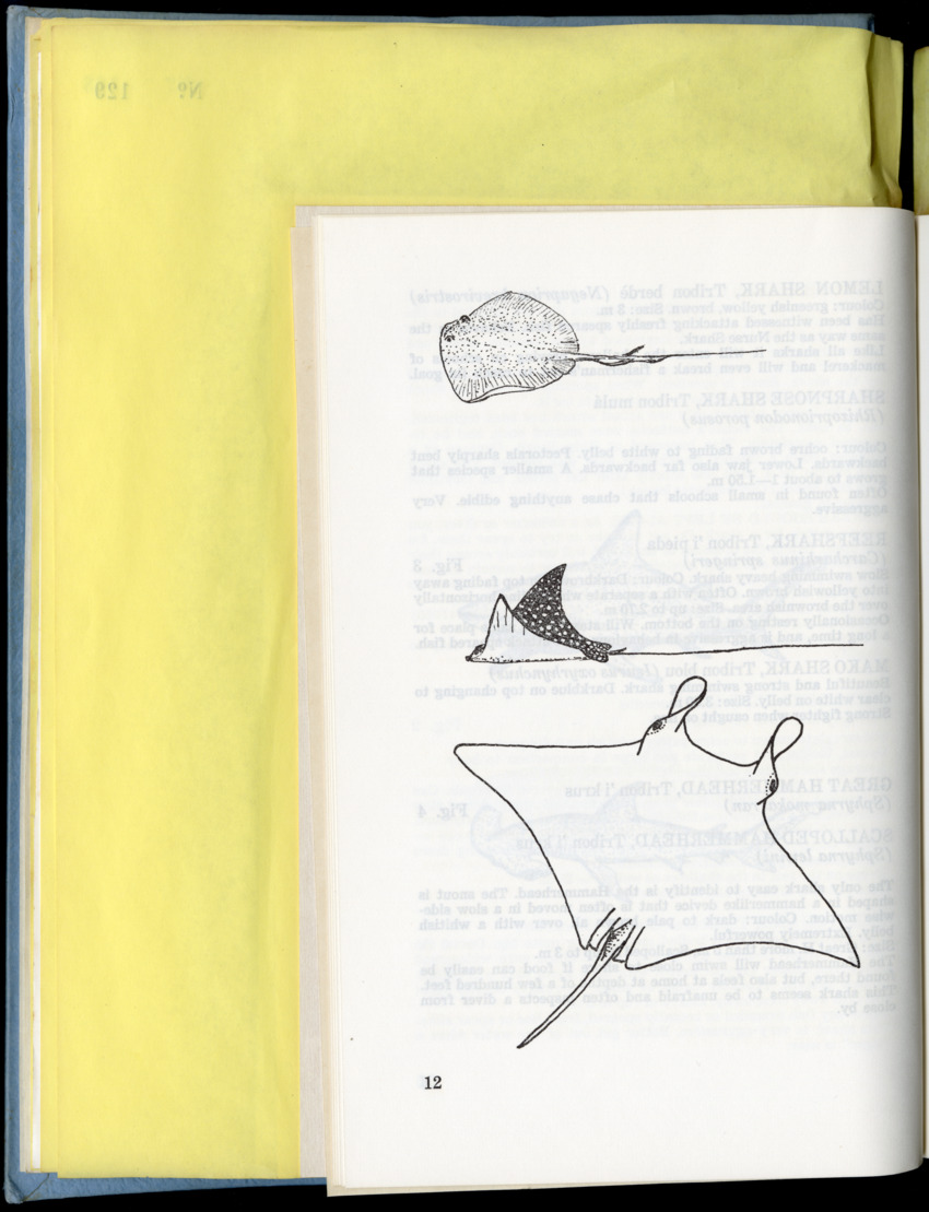 Carmabi Collected Papers Volume 9 - Nos. 126-140, 1972-1974 - New Page