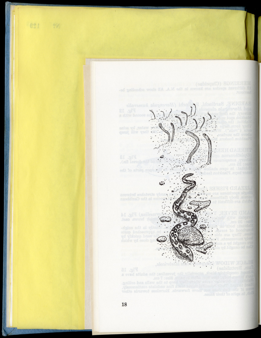 Carmabi Collected Papers Volume 9 - Nos. 126-140, 1972-1974 - New Page