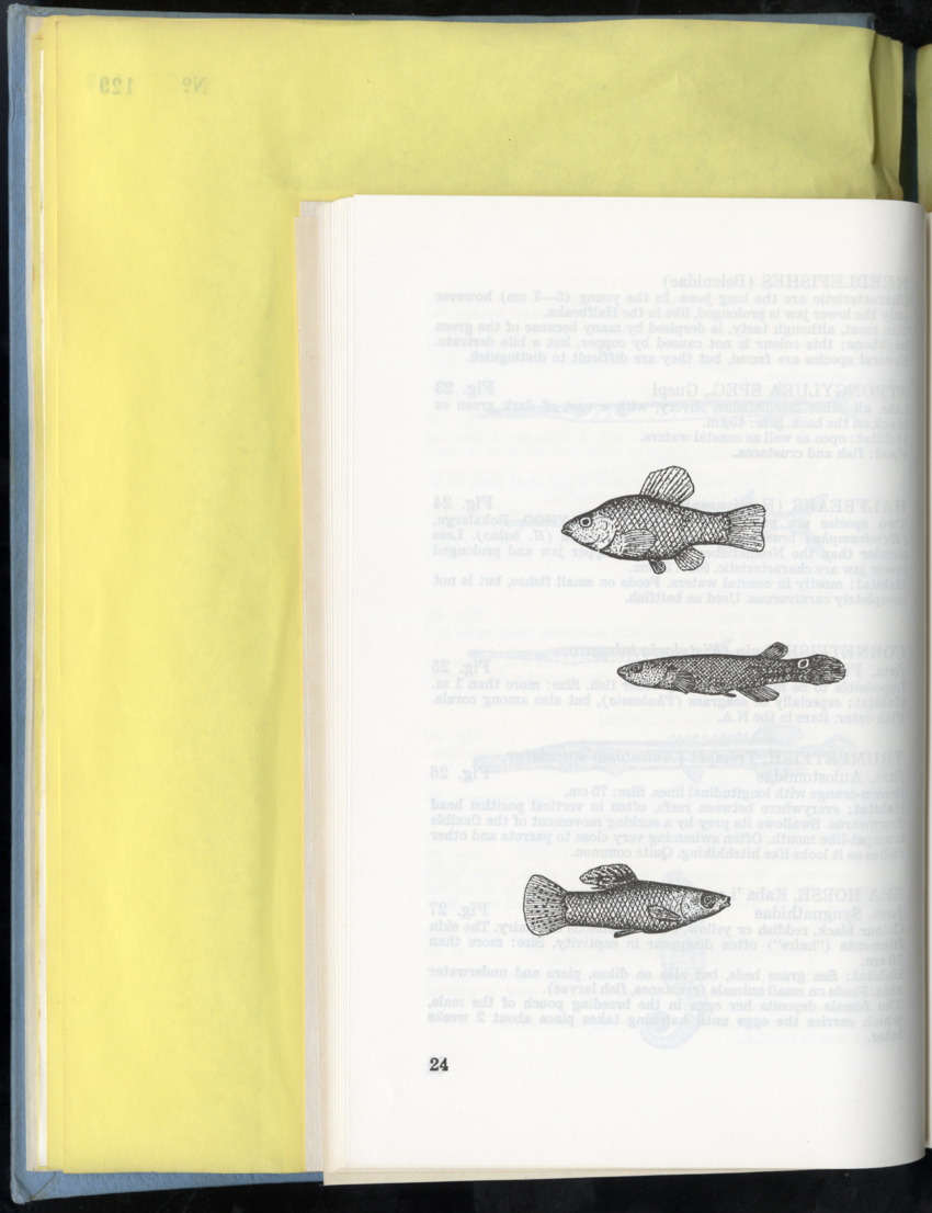 Carmabi Collected Papers Volume 9 - Nos. 126-140, 1972-1974 - New Page