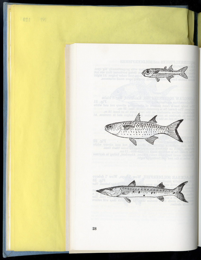 Carmabi Collected Papers Volume 9 - Nos. 126-140, 1972-1974 - New Page