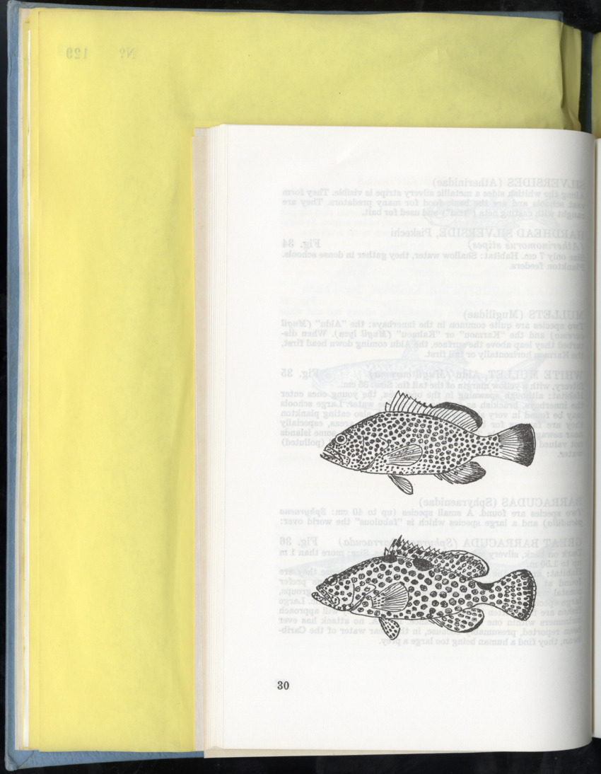 Carmabi Collected Papers Volume 9 - Nos. 126-140, 1972-1974 - New Page