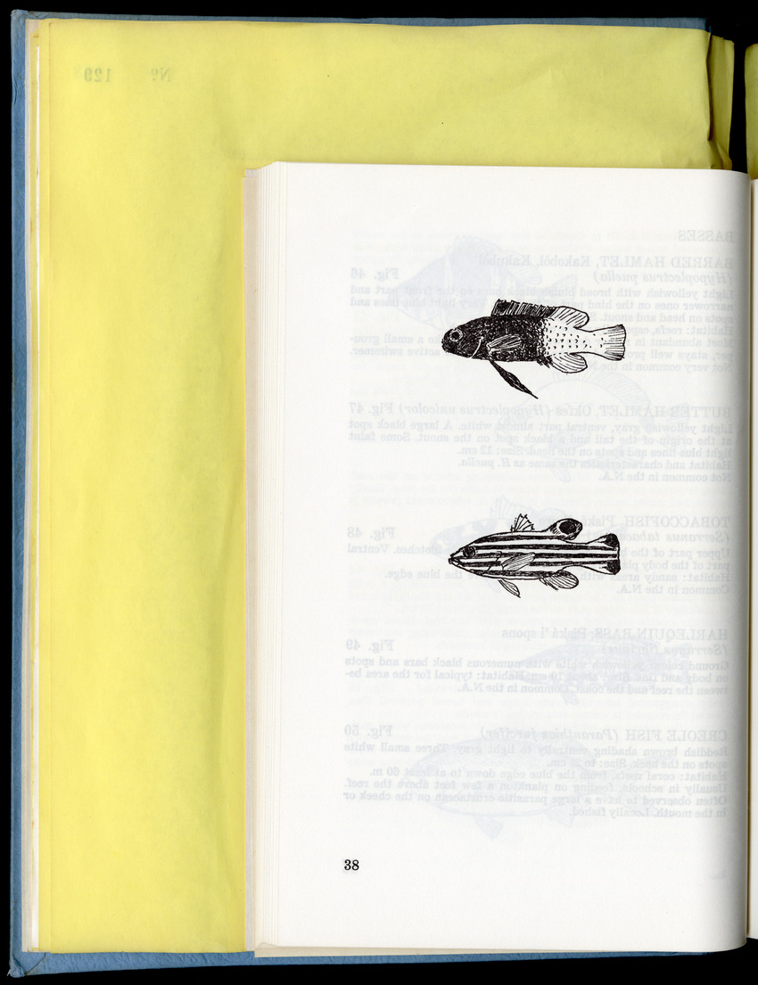 Carmabi Collected Papers Volume 9 - Nos. 126-140, 1972-1974 - New Page