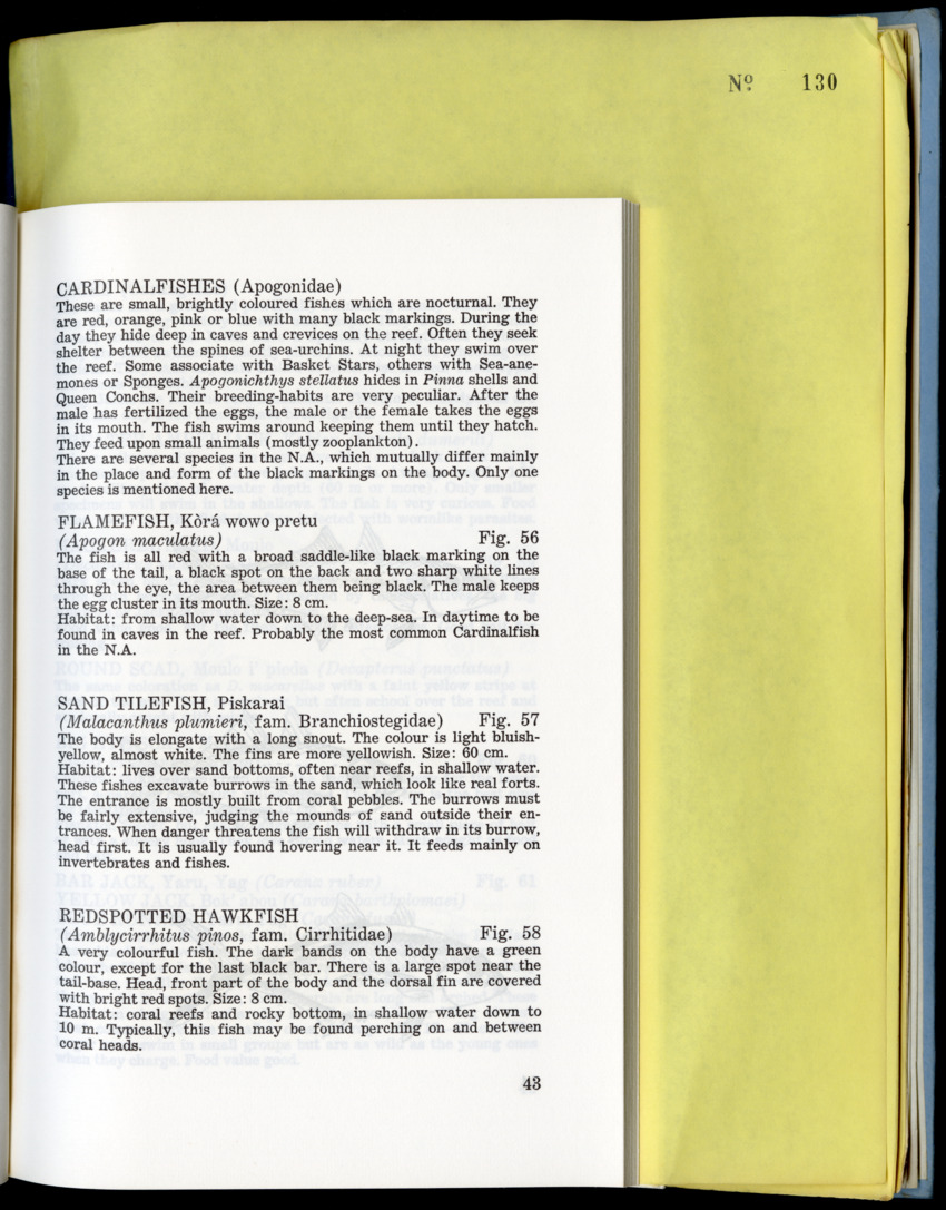 Carmabi Collected Papers Volume 9 - Nos. 126-140, 1972-1974 - New Page