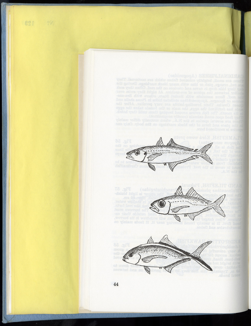 Carmabi Collected Papers Volume 9 - Nos. 126-140, 1972-1974 - New Page