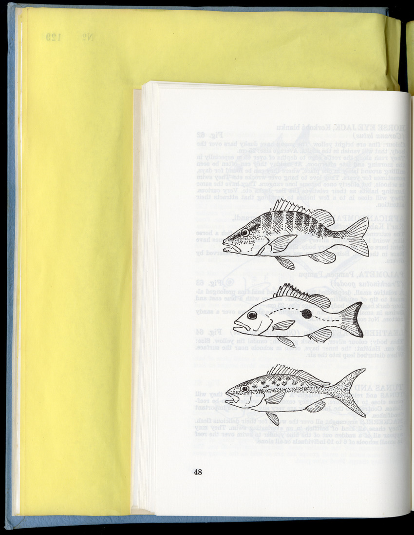 Carmabi Collected Papers Volume 9 - Nos. 126-140, 1972-1974 - New Page