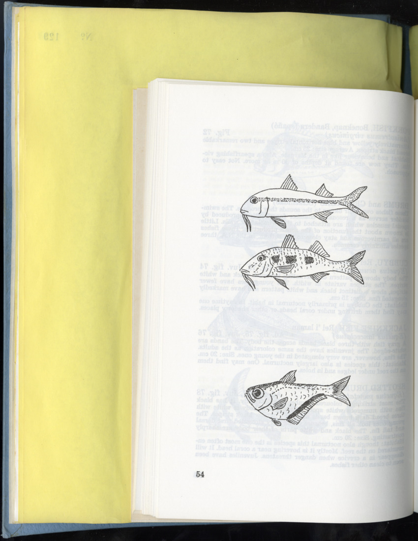 Carmabi Collected Papers Volume 9 - Nos. 126-140, 1972-1974 - New Page