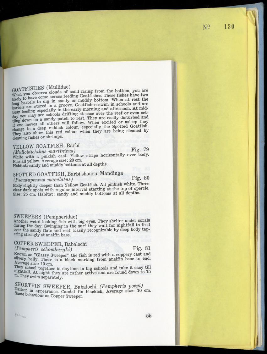 Carmabi Collected Papers Volume 9 - Nos. 126-140, 1972-1974 - New Page