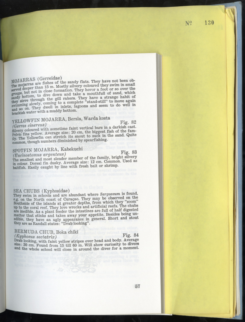 Carmabi Collected Papers Volume 9 - Nos. 126-140, 1972-1974 - New Page