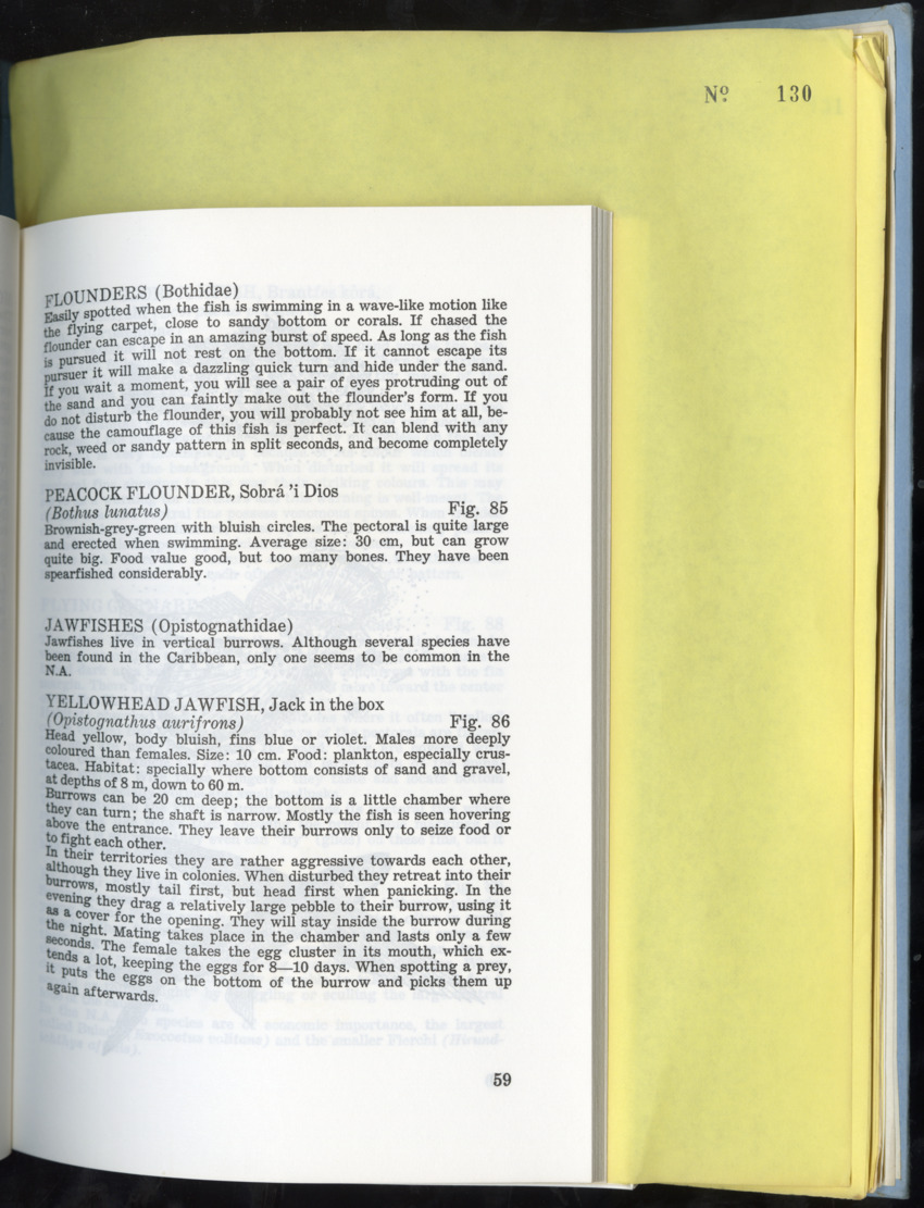 Carmabi Collected Papers Volume 9 - Nos. 126-140, 1972-1974 - New Page