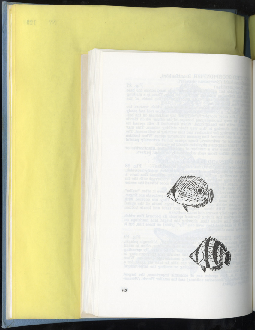 Carmabi Collected Papers Volume 9 - Nos. 126-140, 1972-1974 - New Page