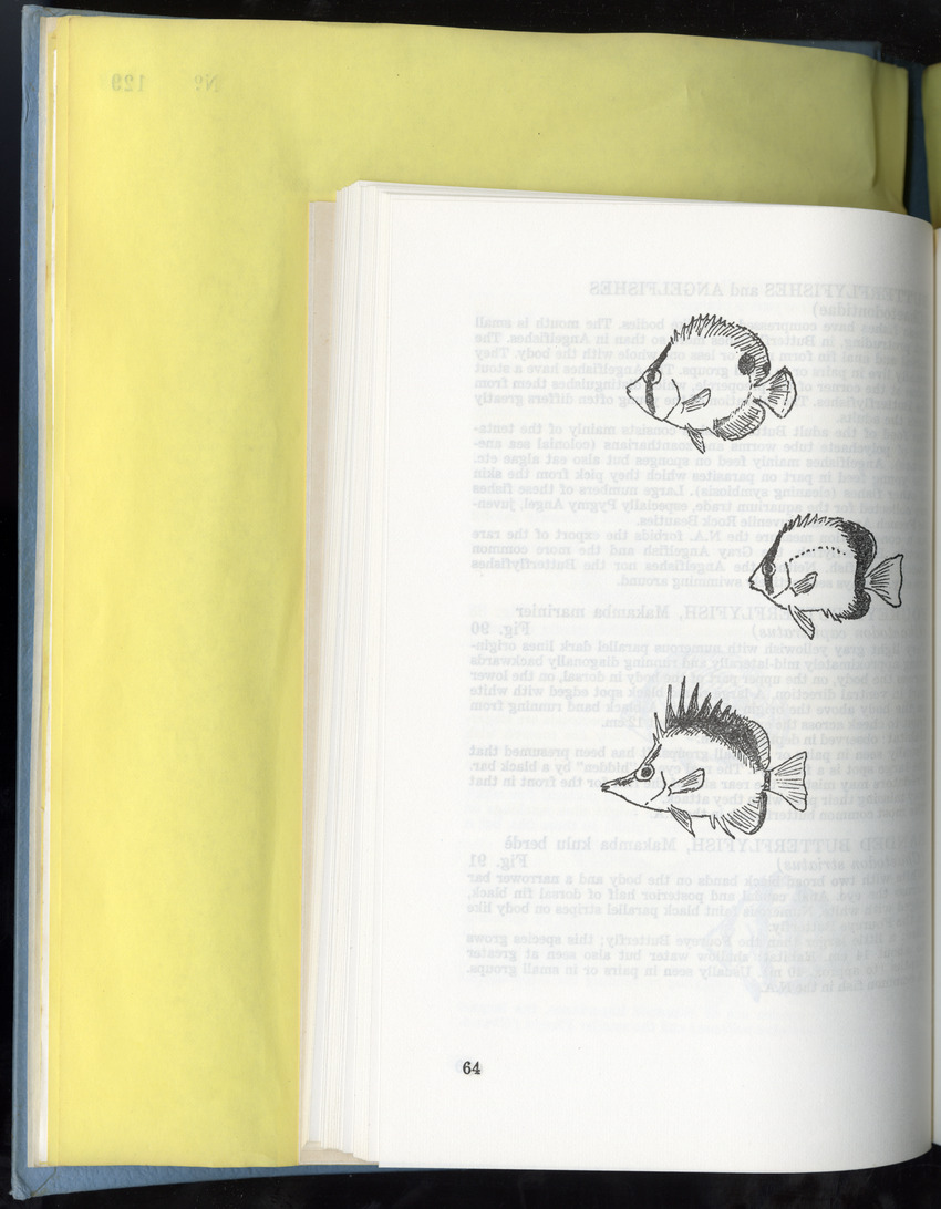 Carmabi Collected Papers Volume 9 - Nos. 126-140, 1972-1974 - New Page