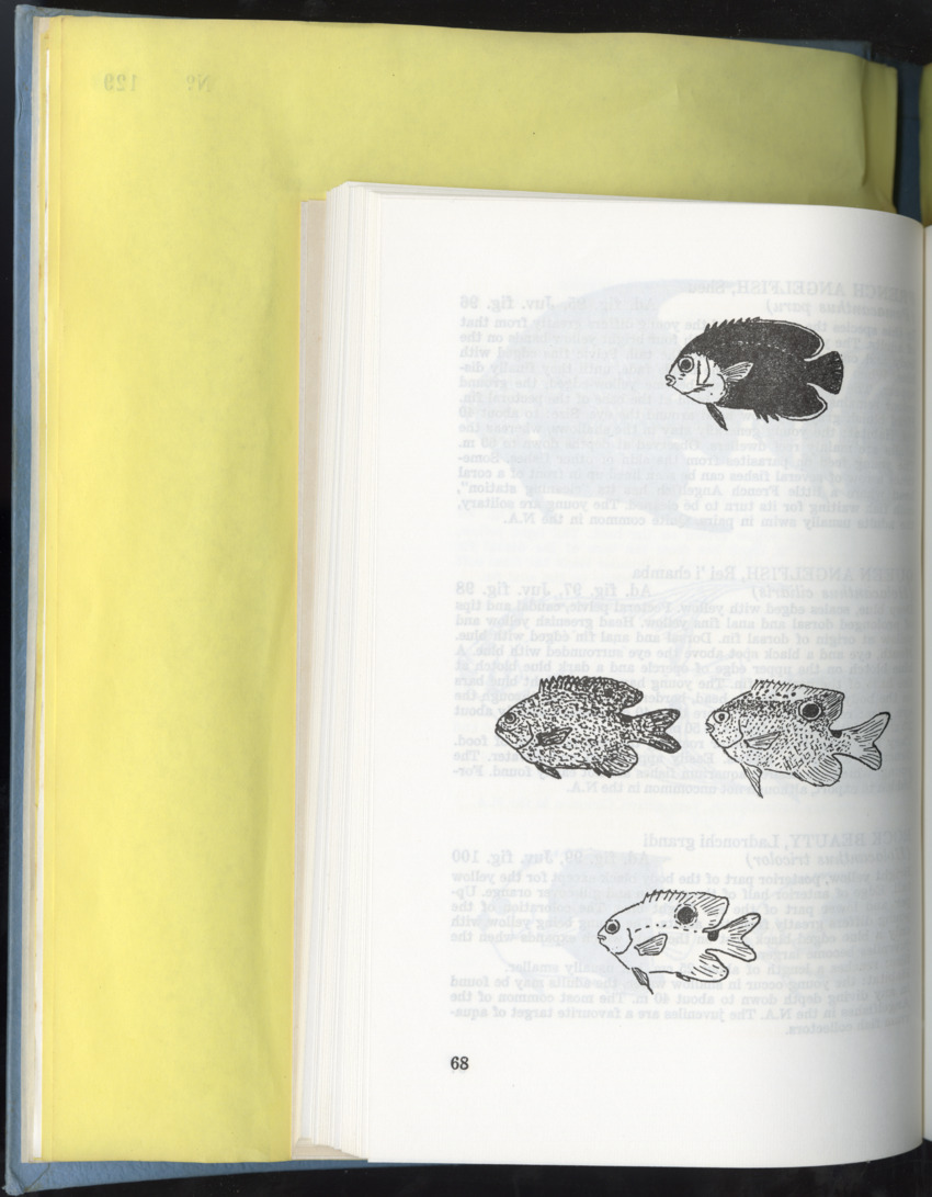 Carmabi Collected Papers Volume 9 - Nos. 126-140, 1972-1974 - New Page