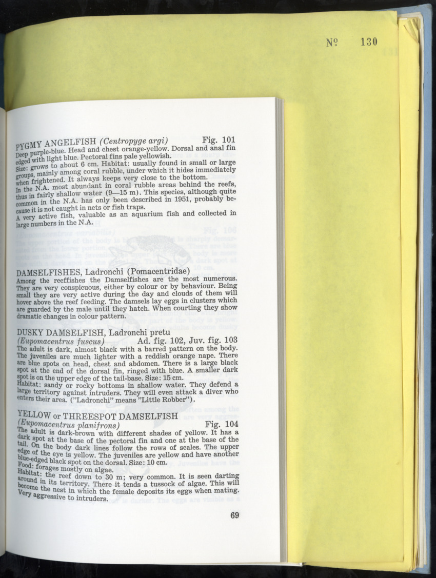 Carmabi Collected Papers Volume 9 - Nos. 126-140, 1972-1974 - New Page