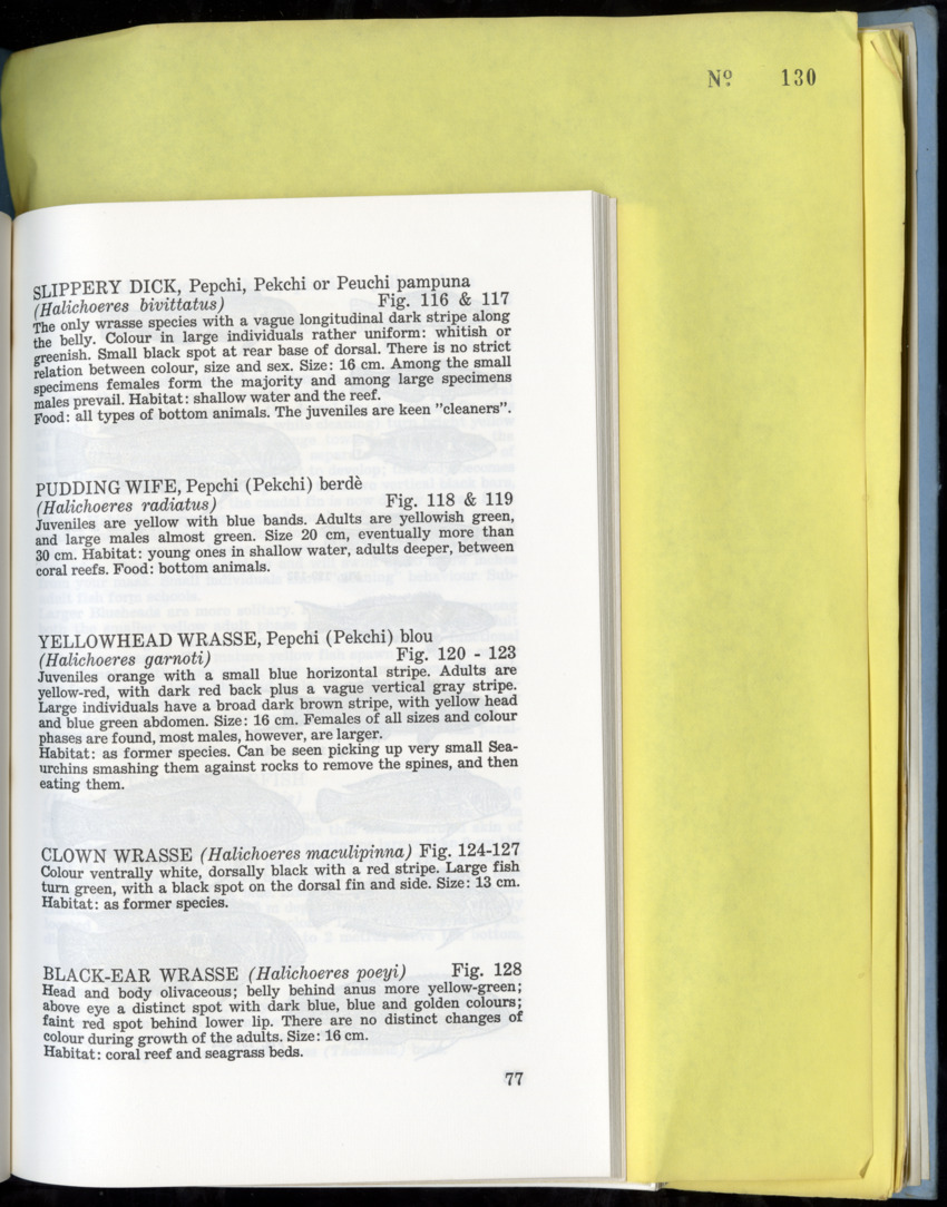 Carmabi Collected Papers Volume 9 - Nos. 126-140, 1972-1974 - New Page