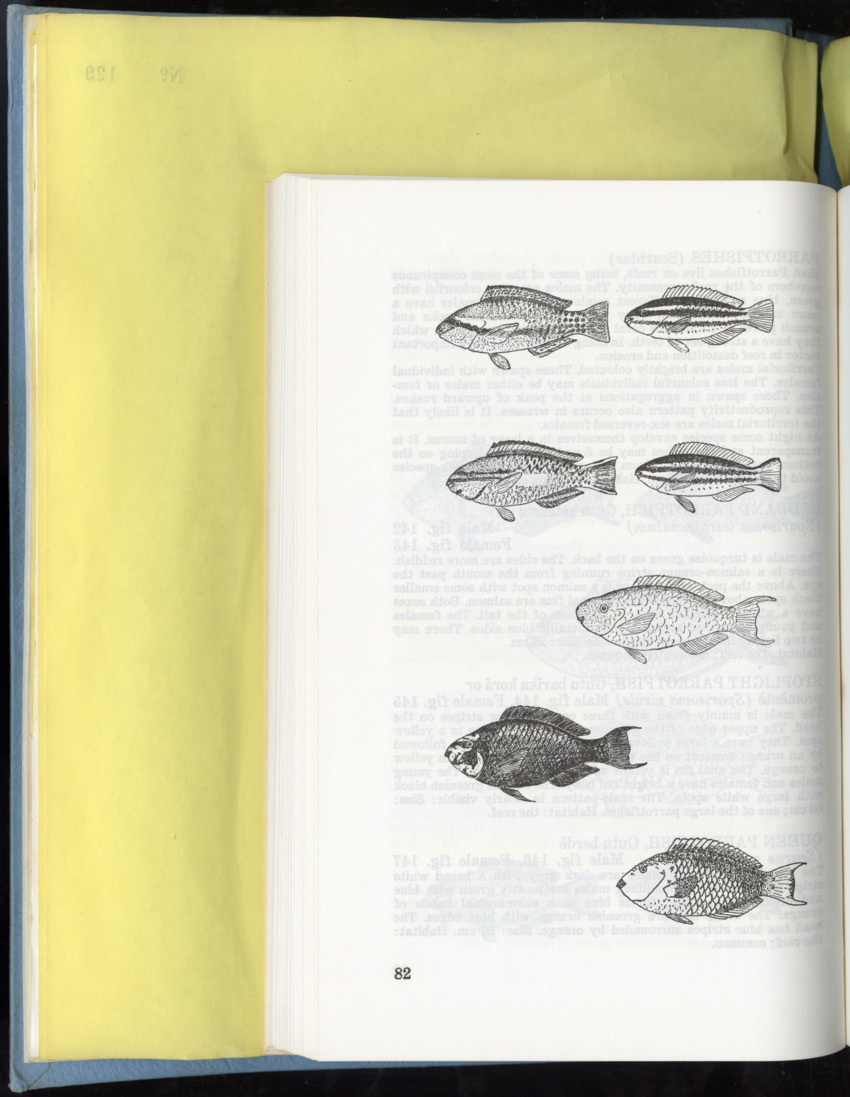Carmabi Collected Papers Volume 9 - Nos. 126-140, 1972-1974 - New Page