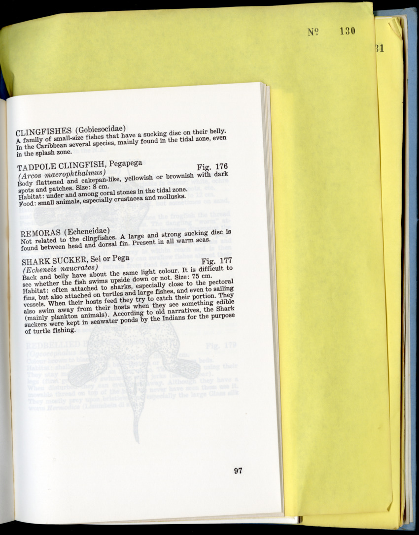Carmabi Collected Papers Volume 9 - Nos. 126-140, 1972-1974 - New Page
