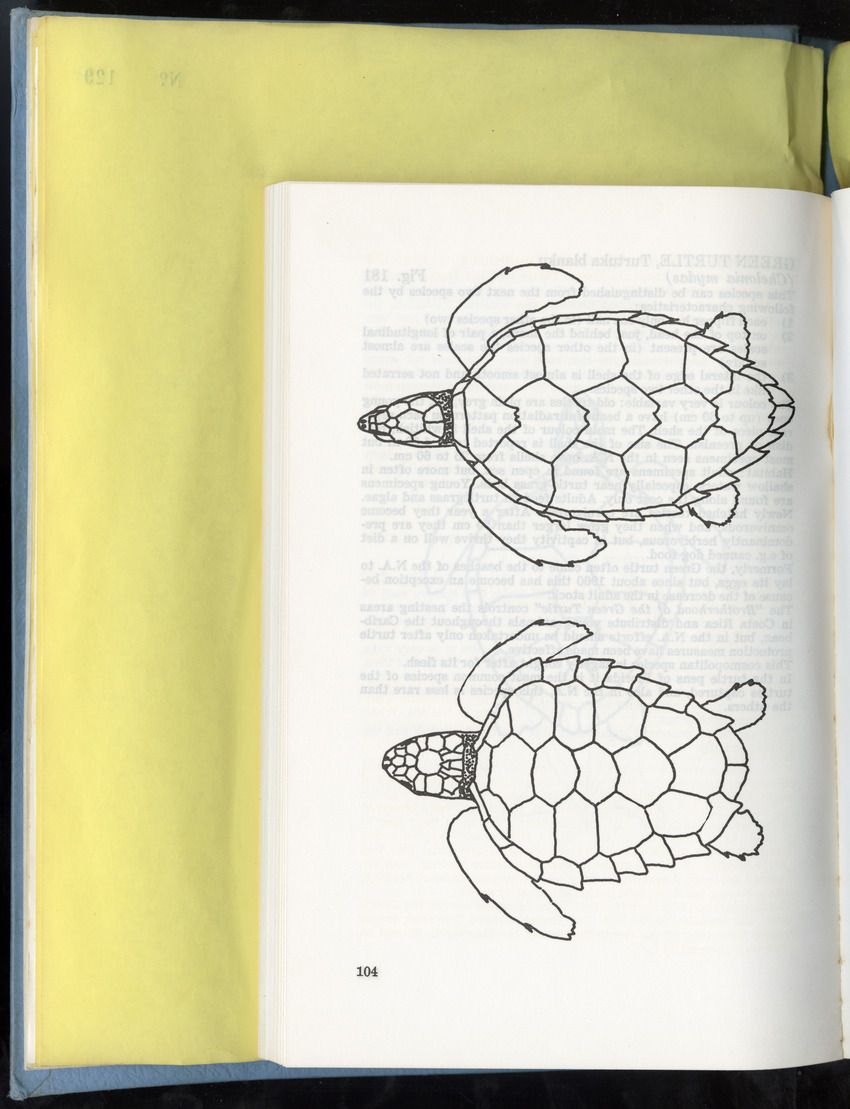 Carmabi Collected Papers Volume 9 - Nos. 126-140, 1972-1974 - New Page