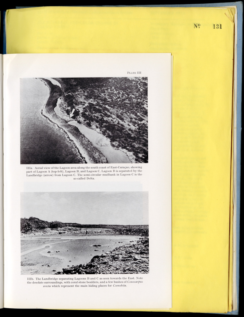 Carmabi Collected Papers Volume 9 - Nos. 126-140, 1972-1974 - New Page