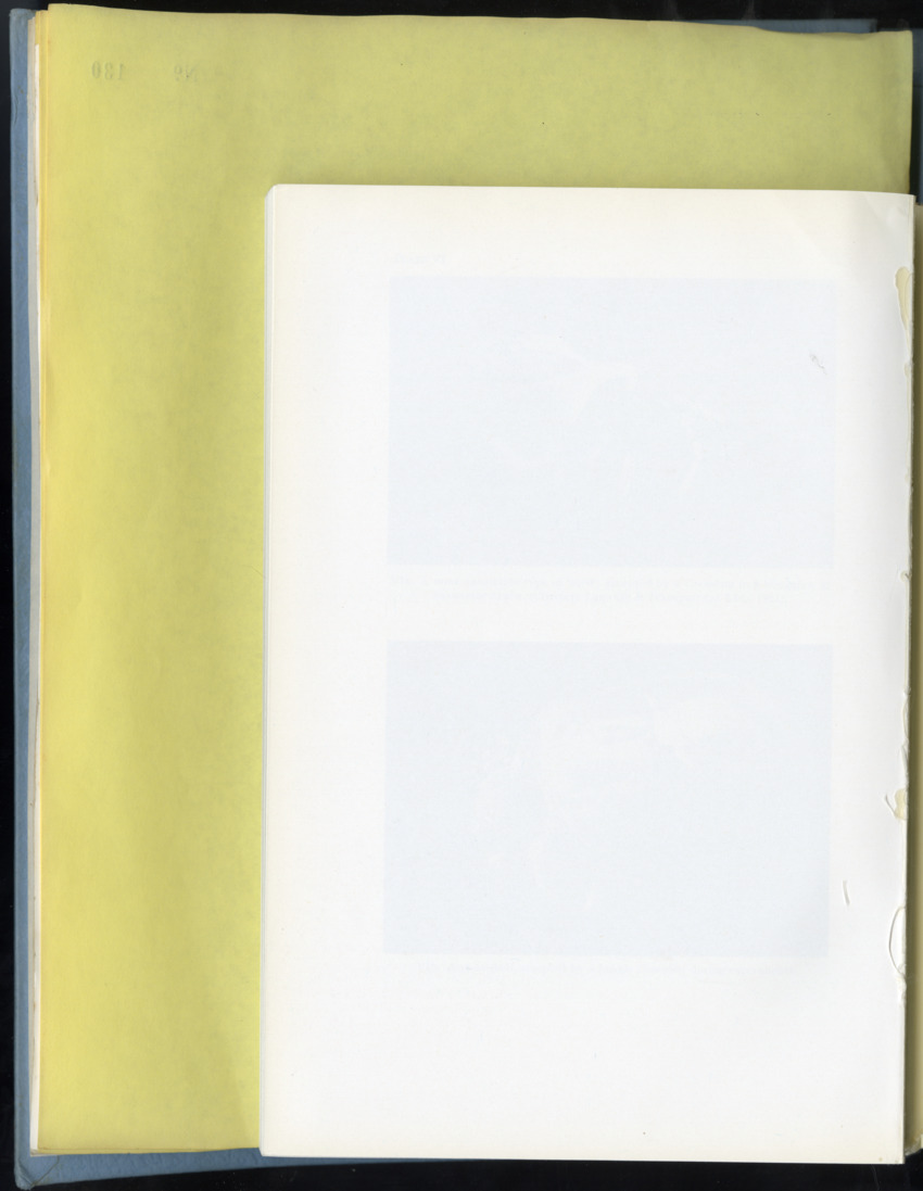 Carmabi Collected Papers Volume 9 - Nos. 126-140, 1972-1974 - New Page
