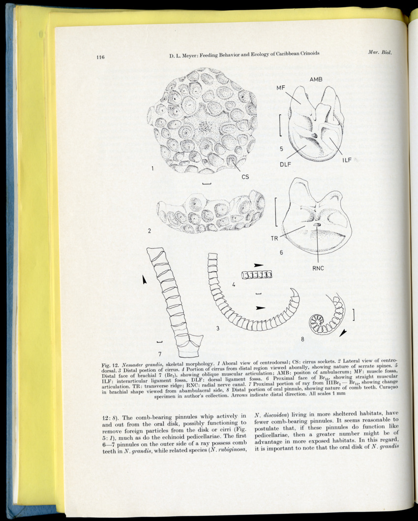 Carmabi Collected Papers Volume 9 - Nos. 126-140, 1972-1974 - New Page