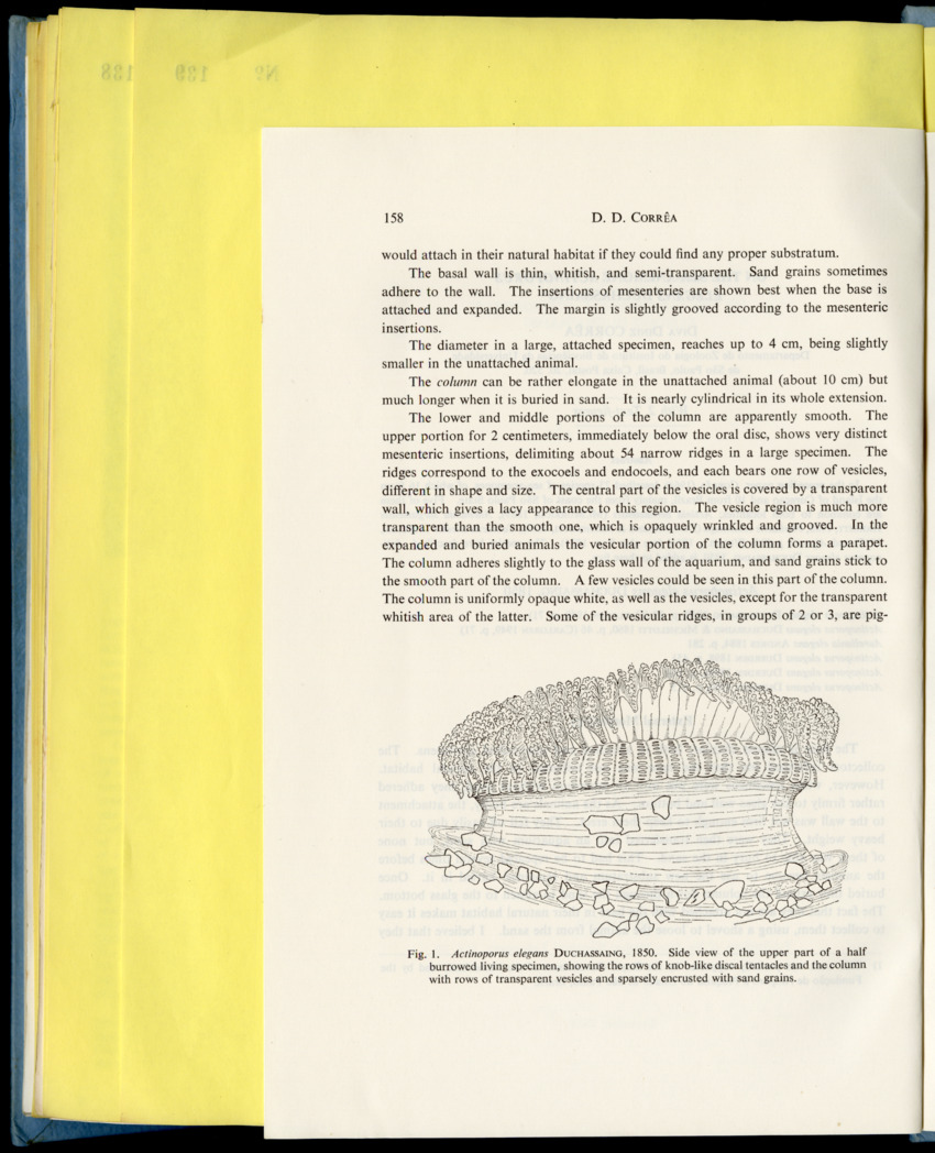 Carmabi Collected Papers Volume 9 - Nos. 126-140, 1972-1974 - New Page