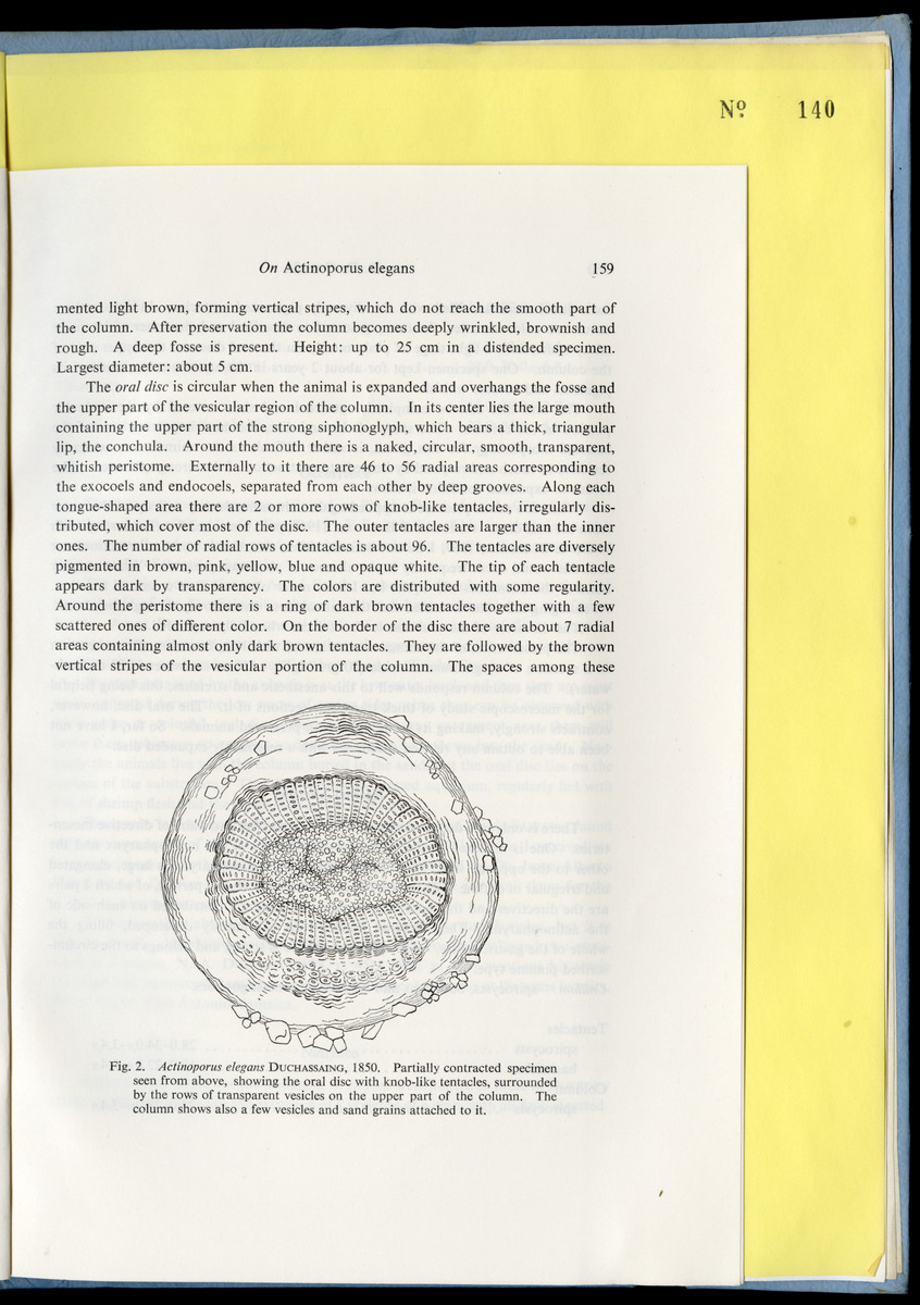 Carmabi Collected Papers Volume 9 - Nos. 126-140, 1972-1974 - New Page