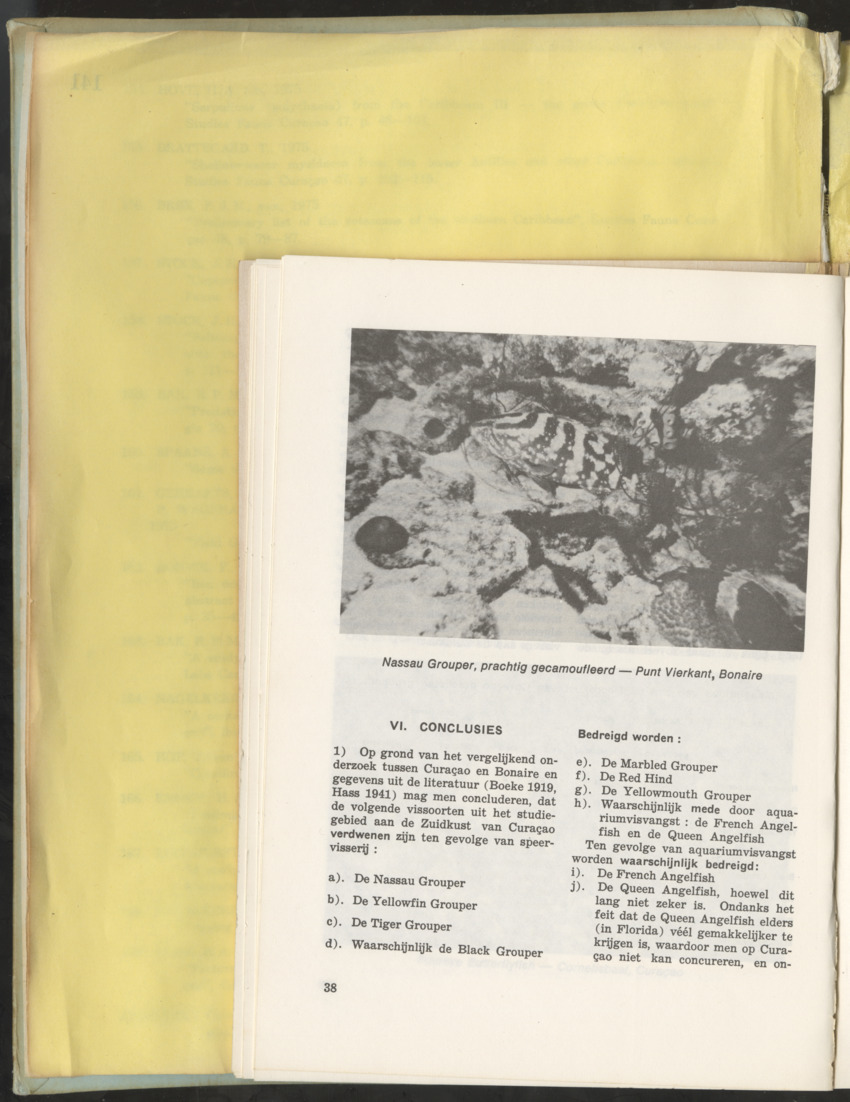 Carmabi Collected Papers Volume 10 - Nos. 141-169, 1973-1975 - New Page