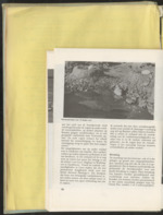 MISSING THUMBNAIL
