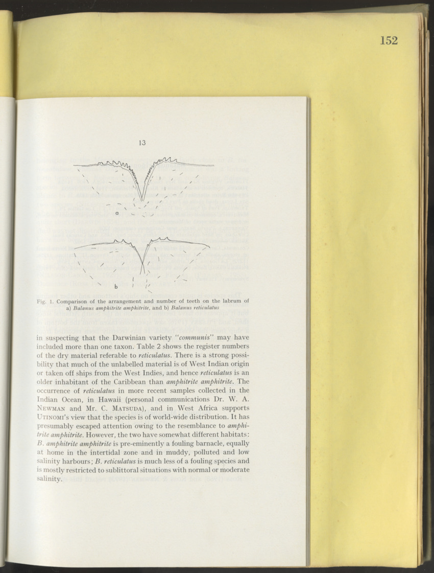 Carmabi Collected Papers Volume 10 - Nos. 141-169, 1973-1975 - New Page